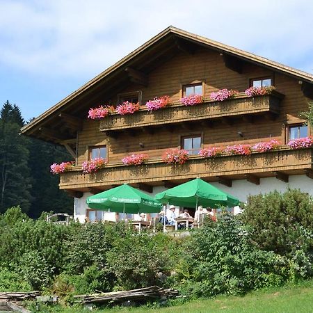 ホテルBerggasthof Sonnenalm ハウツェンベルク エクステリア 写真