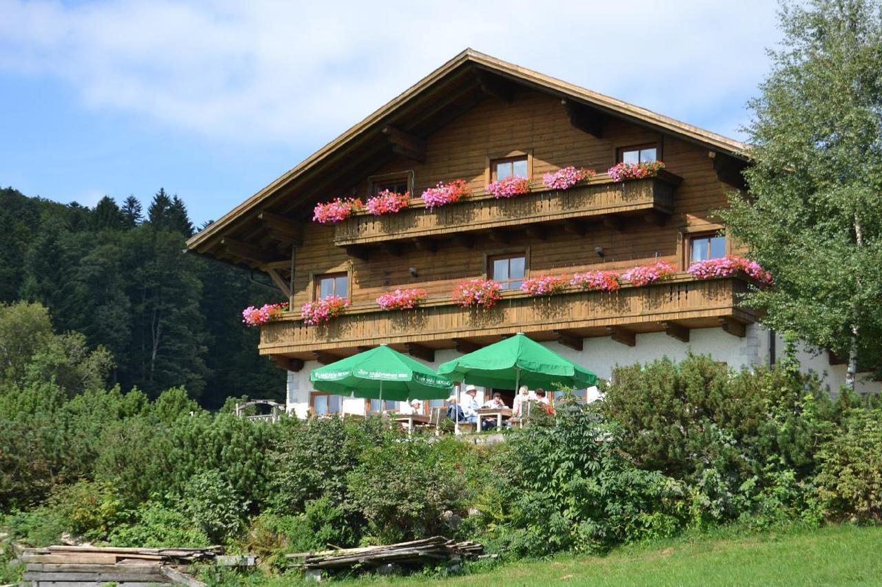 ホテルBerggasthof Sonnenalm ハウツェンベルク エクステリア 写真