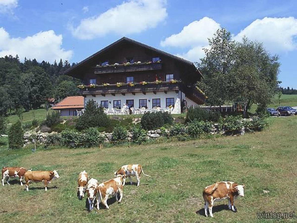ホテルBerggasthof Sonnenalm ハウツェンベルク エクステリア 写真