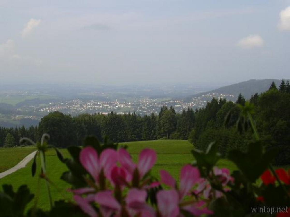ホテルBerggasthof Sonnenalm ハウツェンベルク エクステリア 写真